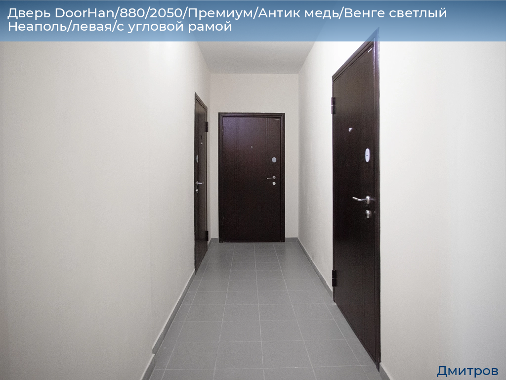 Дверь DoorHan/880/2050/Премиум/Антик медь/Венге светлый Неаполь/левая/с угловой рамой, 
