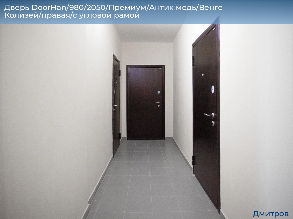 Дверь DoorHan/980/2050/Премиум/Антик медь/Венге Колизей/правая/с угловой рамой, 