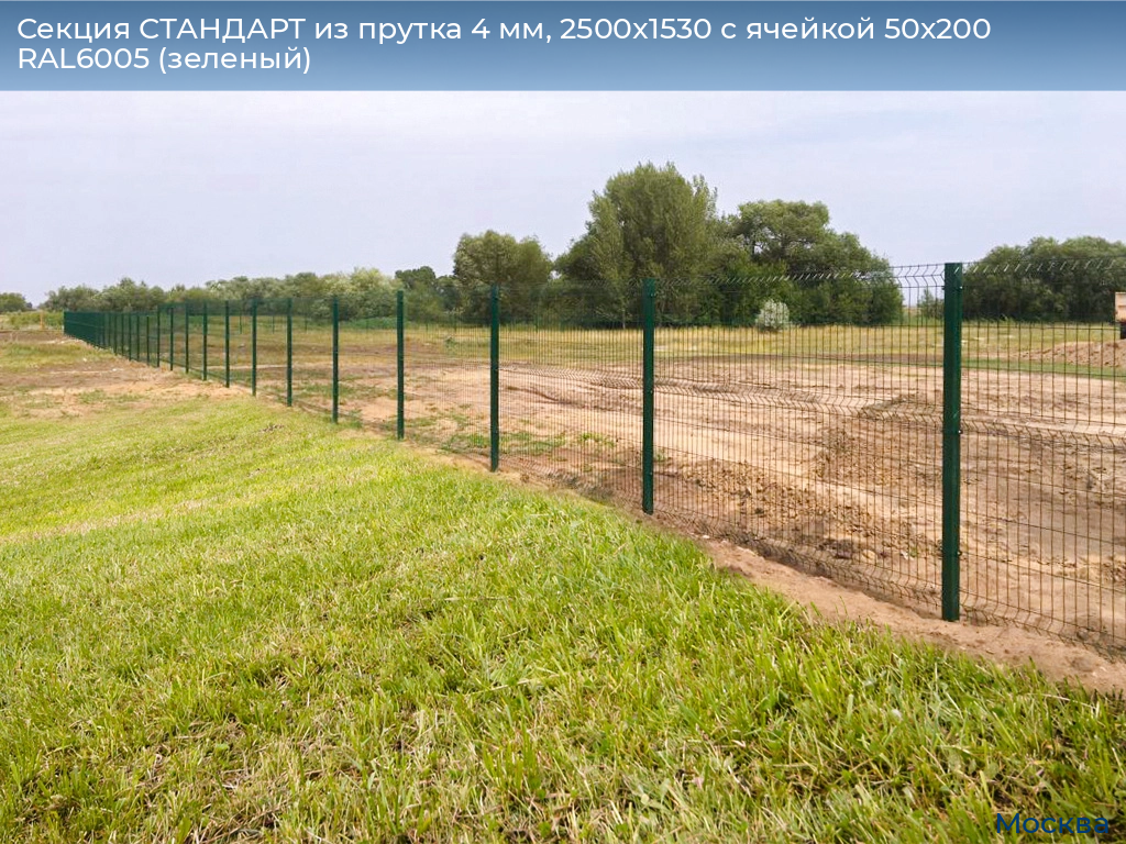 Секция СТАНДАРТ из прутка 4 мм, 2500x1530 с ячейкой 50х200 RAL6005 (зеленый), 